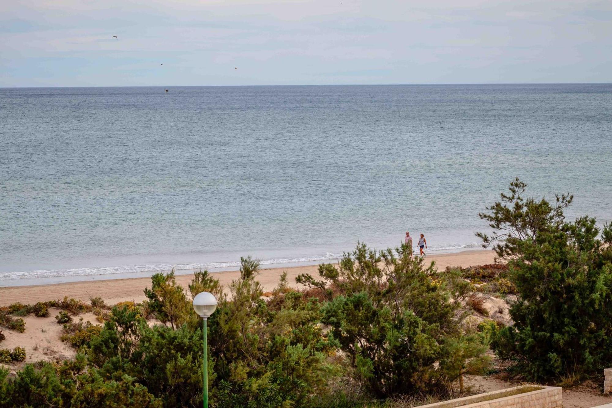 Relax Total Junto Al Mar Apartment Oliva Exterior photo